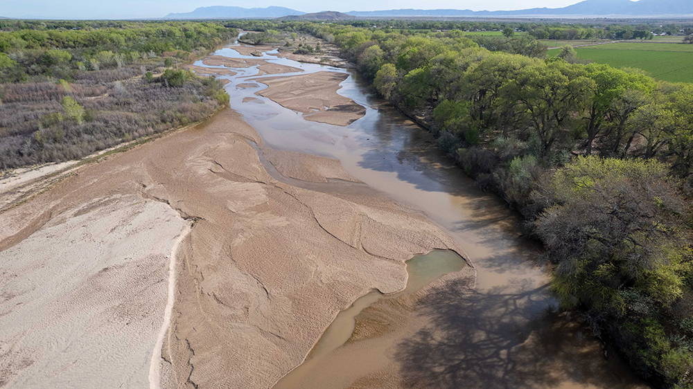 Diminishing flows in the Rio Grande Isleta reach April 9, 2026. Photo by GeoSystems Analysis